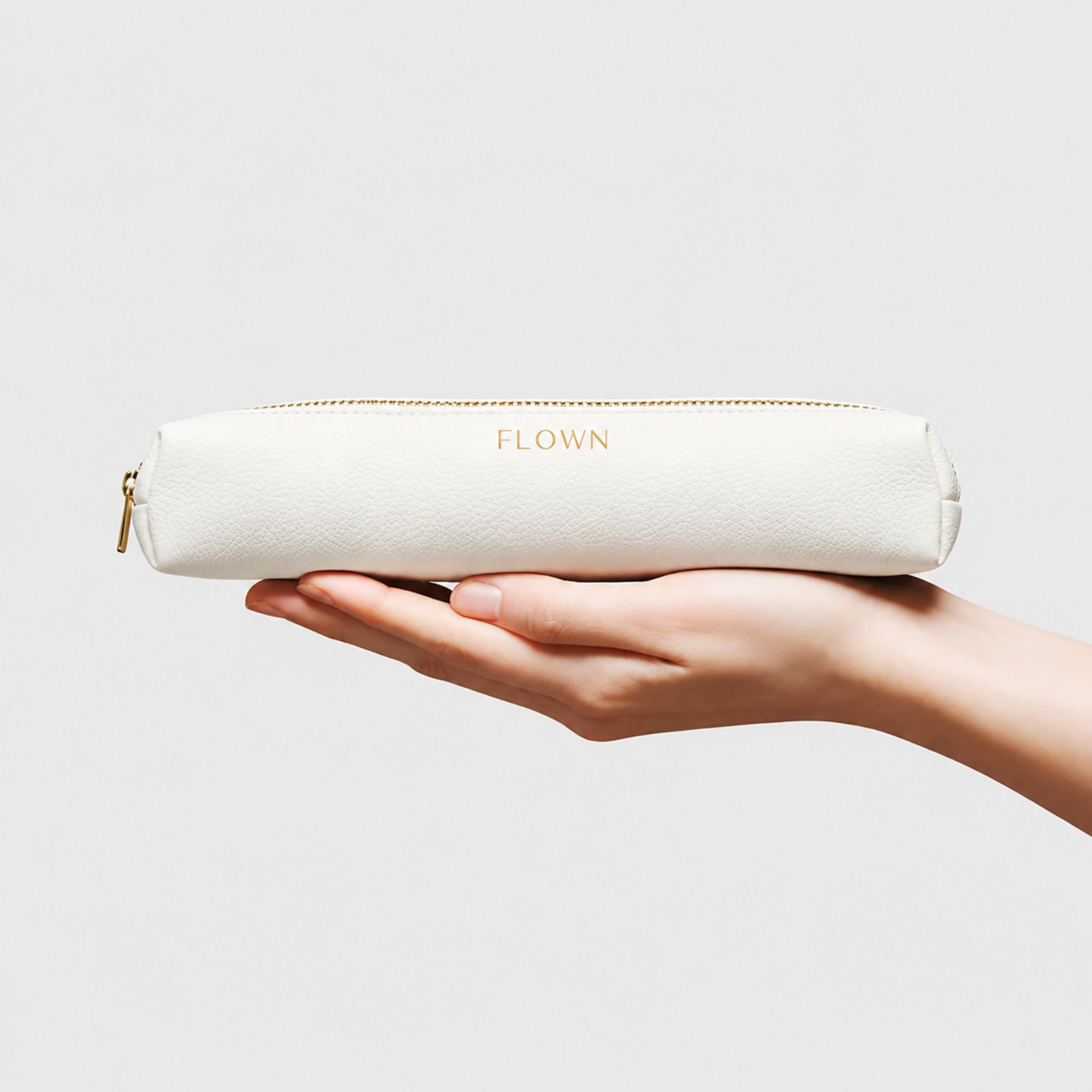Ledertasche für GoBrush Pro