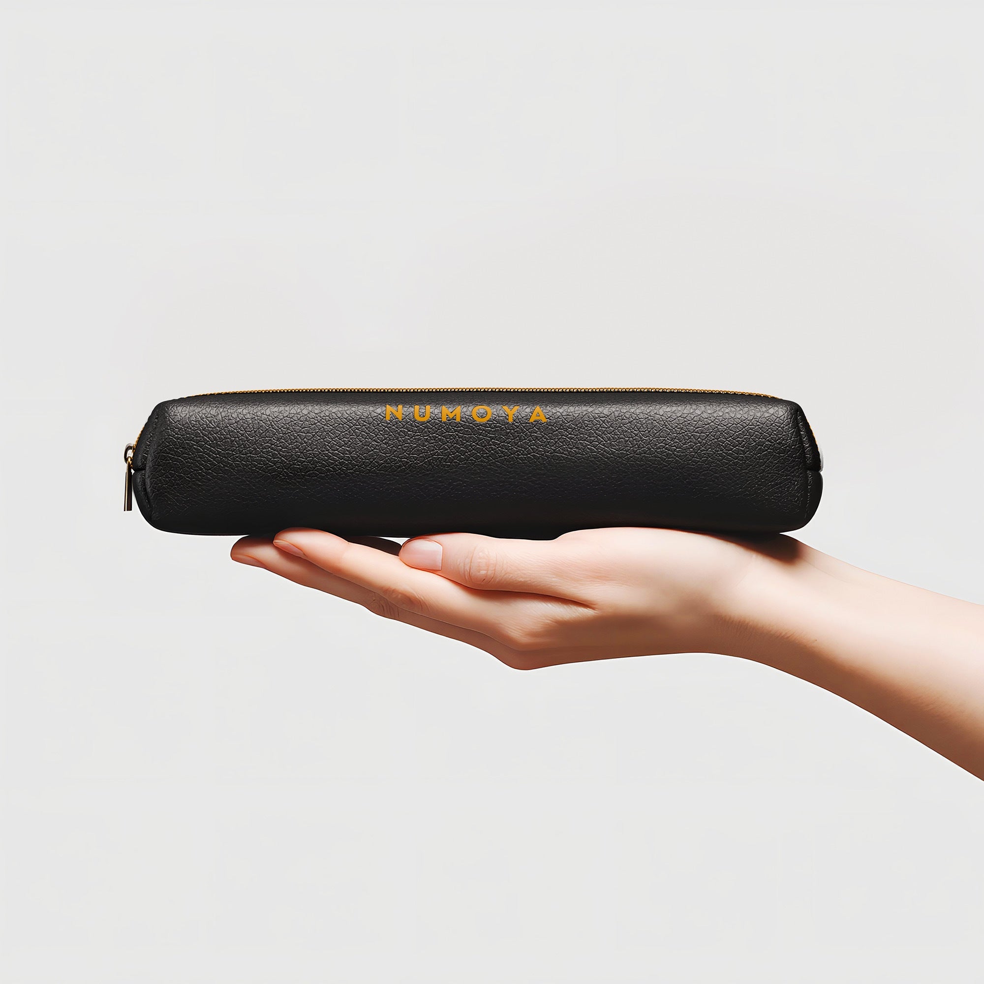 Ledertasche für GoBrush Pro